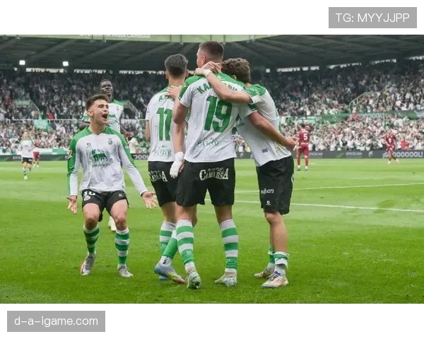 西甲西乙亚军双双升级，携手迎战顶级联赛新挑战