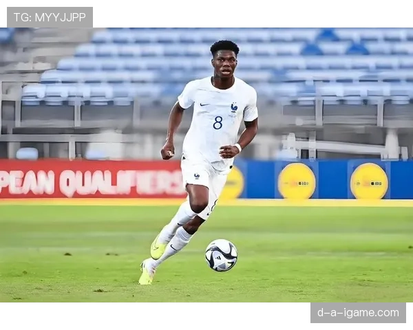 楚阿梅尼对手评价